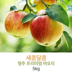 아오리 5kg